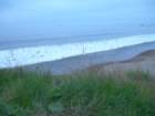 wildcatcamp054_small.jpg
