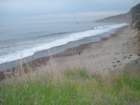 wildcatcamp065_small.jpg