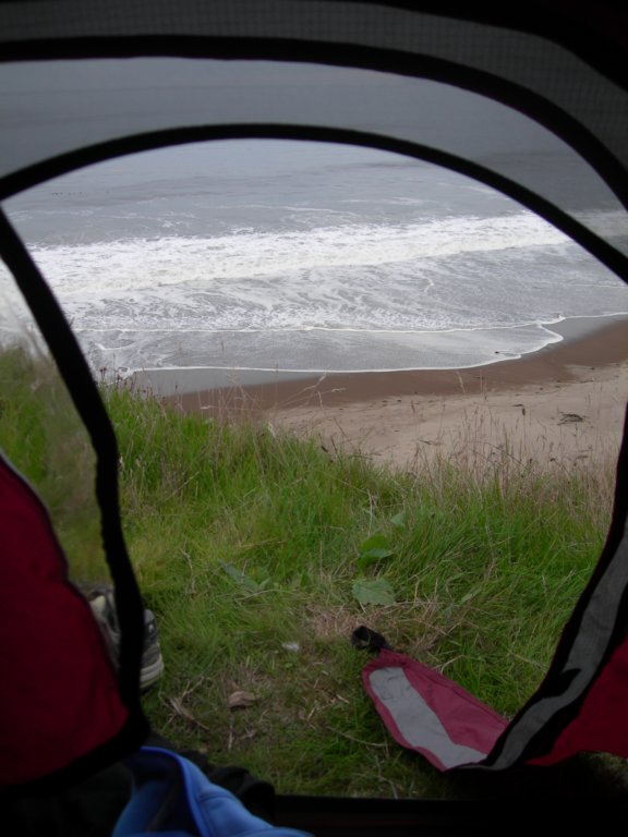 wildcatcamp068.jpg