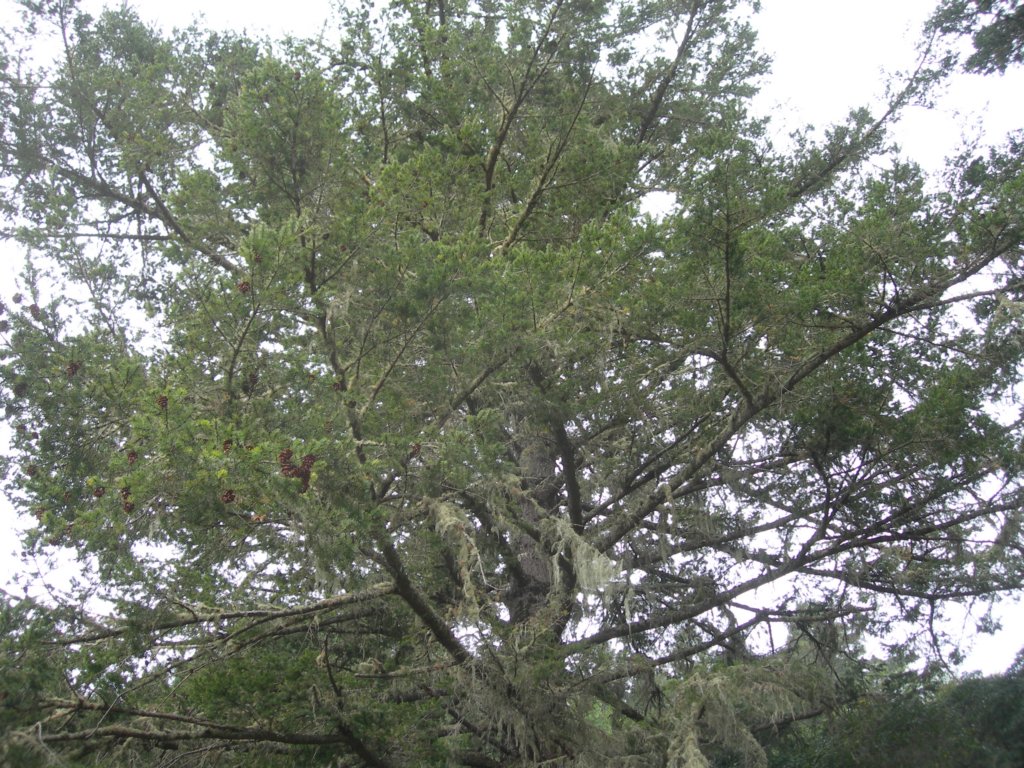 wildcatcamp071.jpg