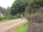 wildcatcamp072_small.jpg