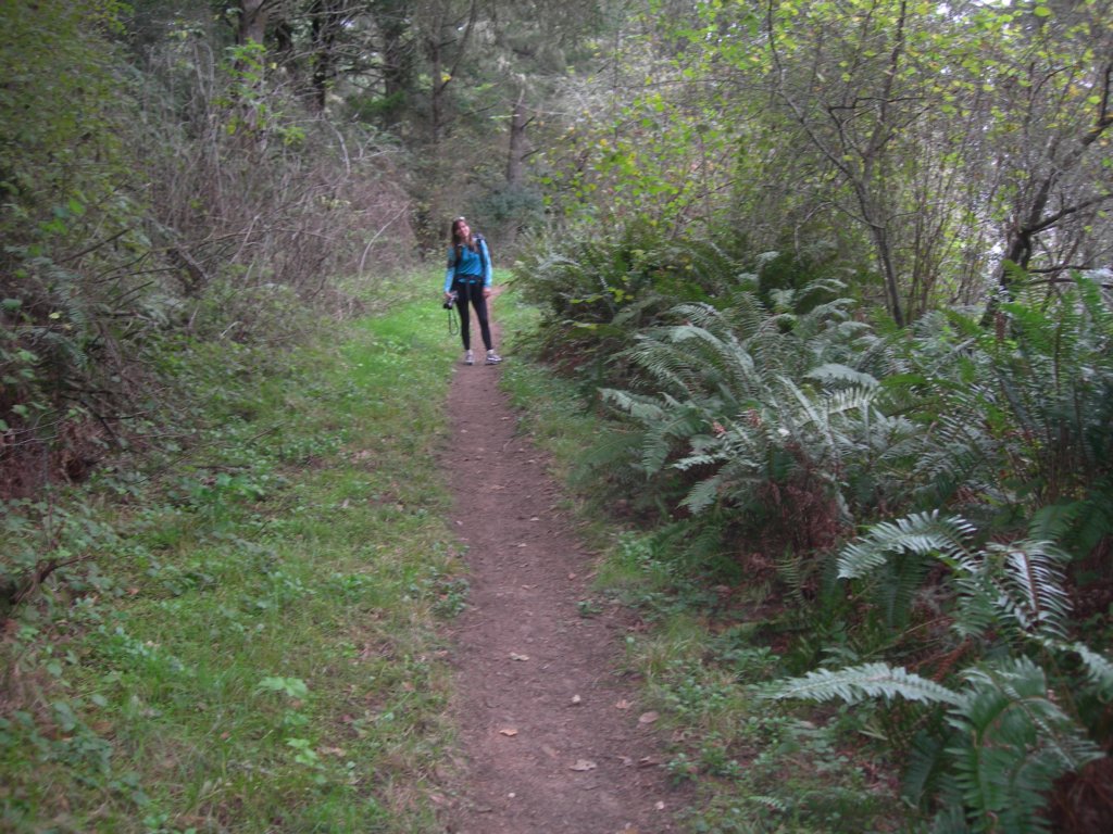 wildcatcamp077.jpg
