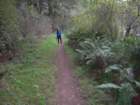 wildcatcamp077_small.jpg