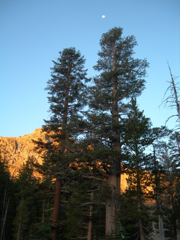 divasbackpack088.jpg