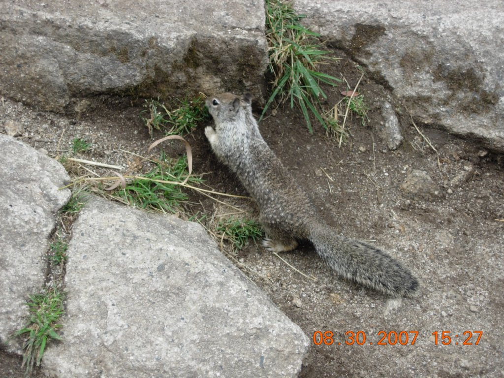 ca_trip200722.jpg