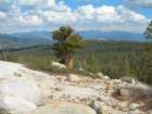 ca_trip07044_small.jpg