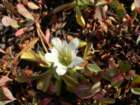 ca_trip07045_small.jpg