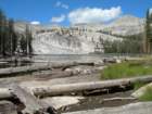 ca_trip07082_small.jpg