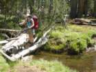 ca_trip07087_small.jpg