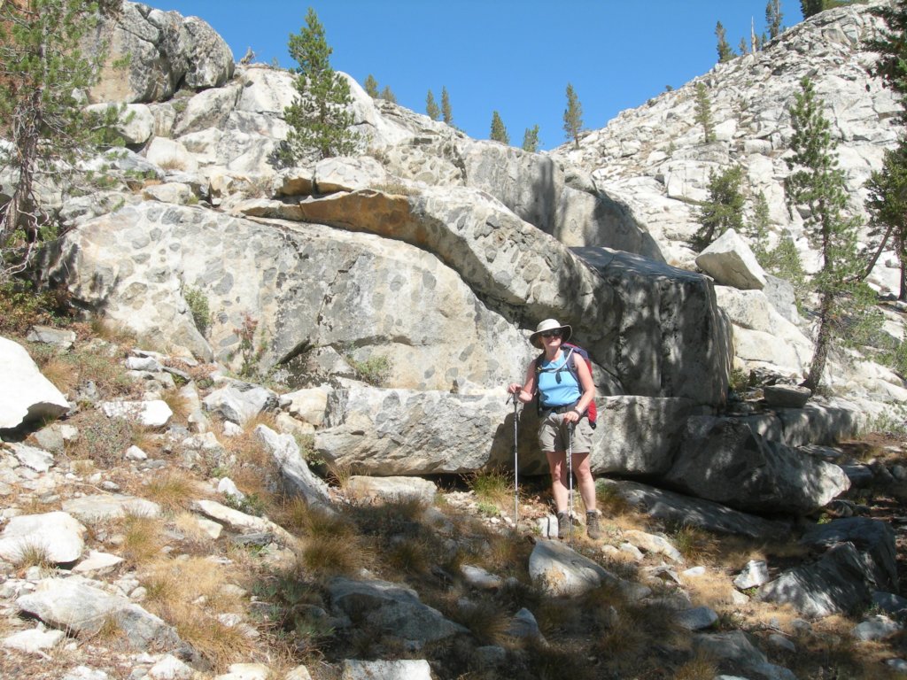 ca_trip071092.jpg