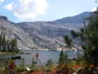ca_trip07109_small.jpg