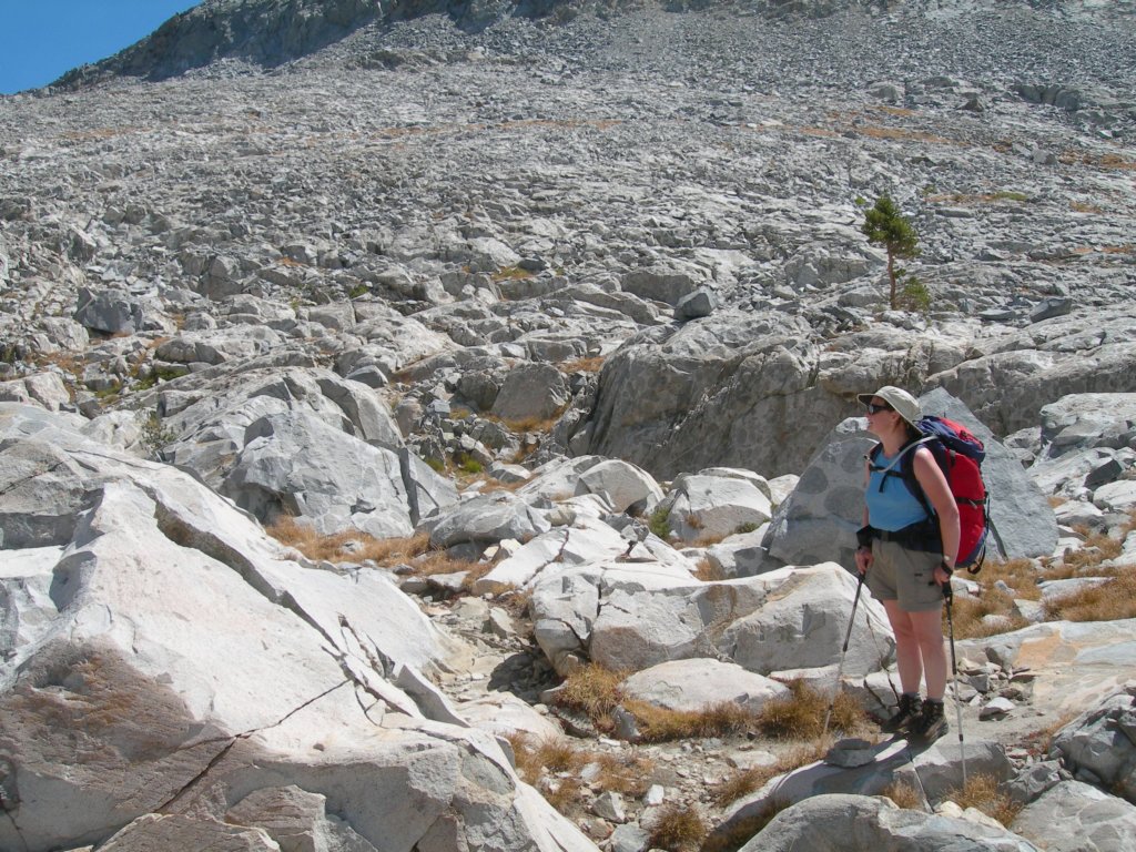 ca_trip071162.jpg