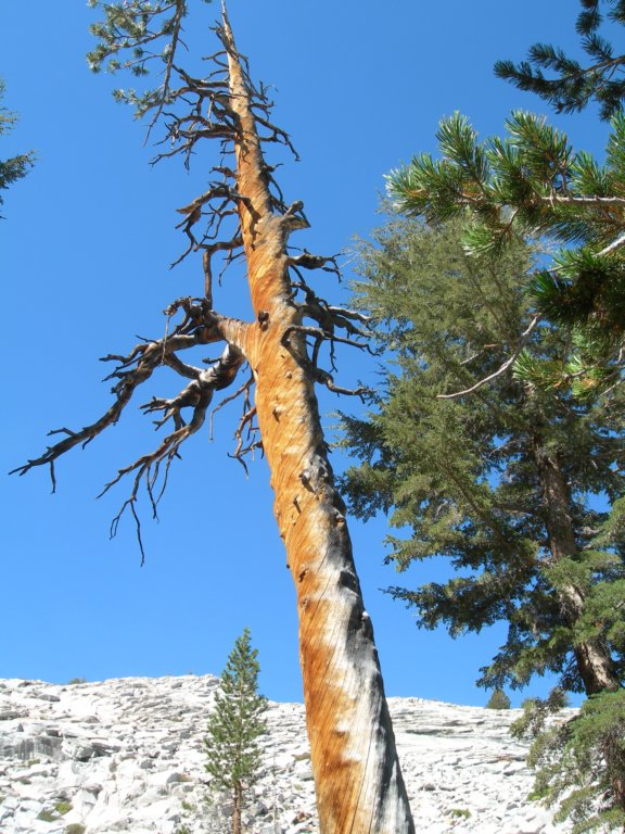 ca_trip07153.jpg