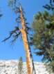 ca_trip07153_small.jpg