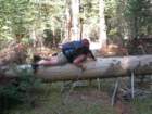 ca_trip07162_small.jpg