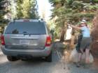 ca_trip07165_small.jpg