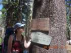 ca_trip2007130_small.jpg
