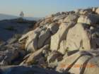 ca_trip2007162_small.jpg