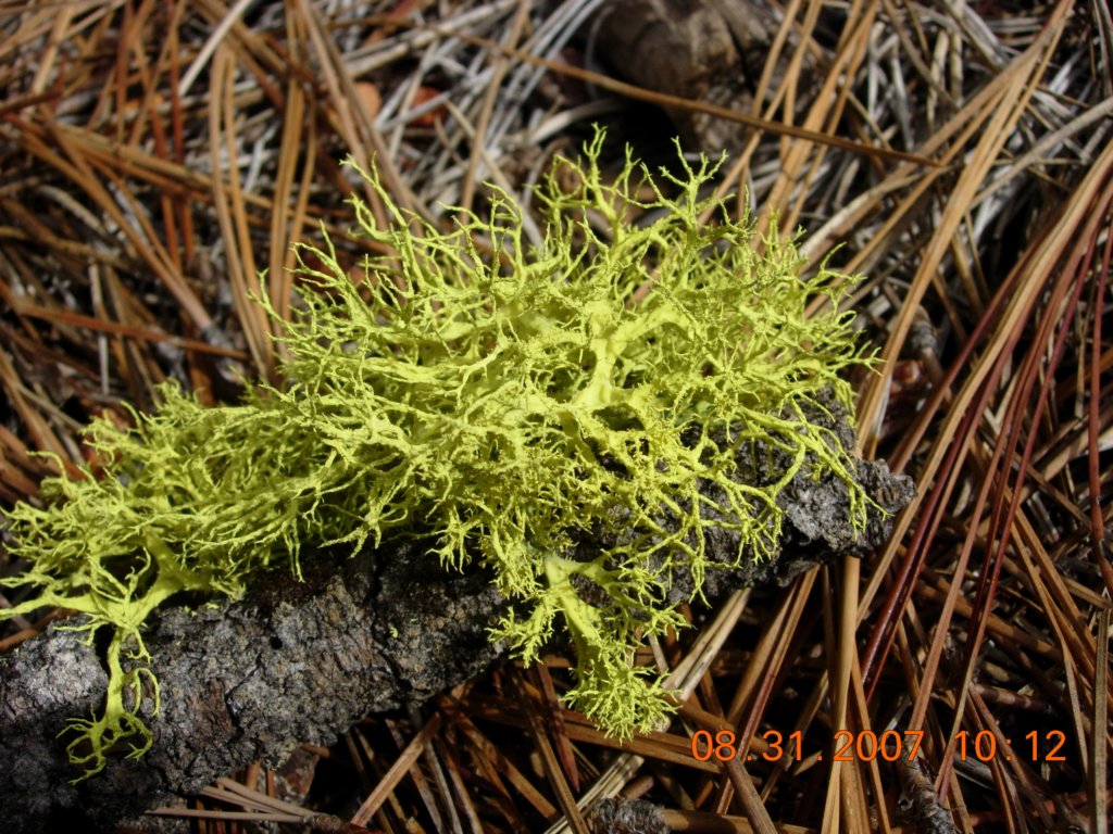 ca_trip200764.jpg