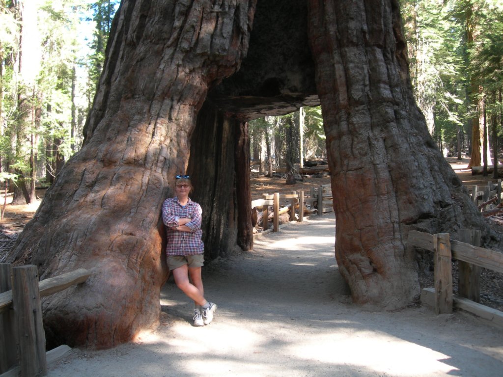 ca_trip07176.jpg