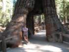 ca_trip07176_small.jpg