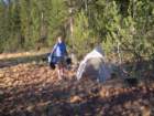ca_trip07210_small.jpg