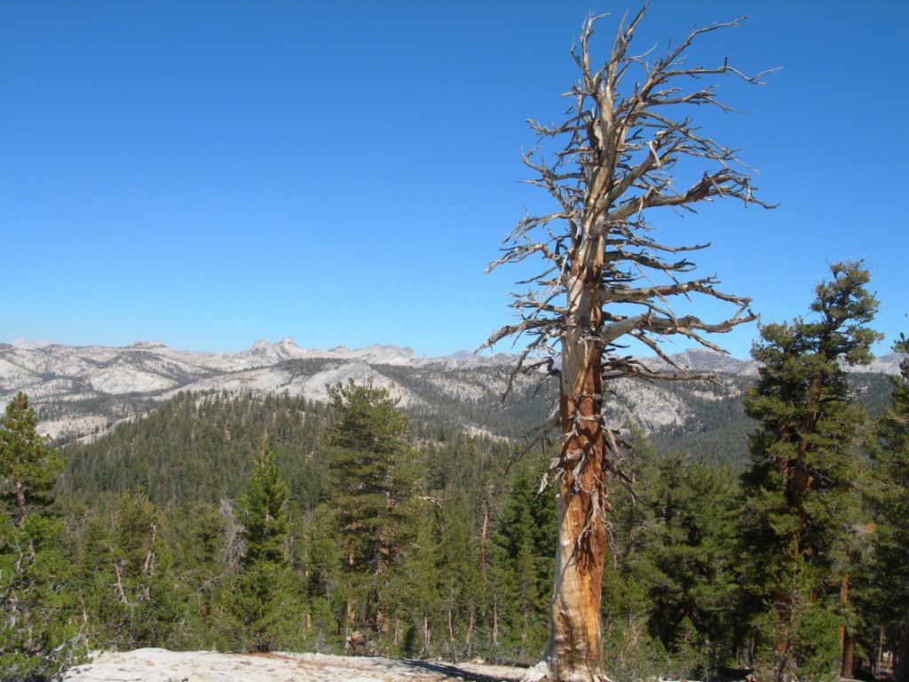 ca_trip07287.jpg