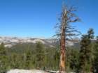 ca_trip07287_small.jpg