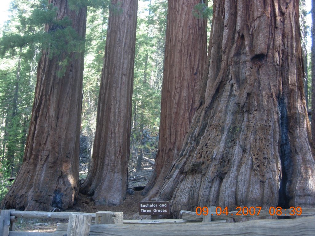 ca_trip2007200.jpg