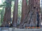 ca_trip2007200_small.jpg