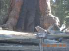 ca_trip2007203_small.jpg