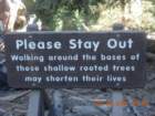 ca_trip2007204_small.jpg