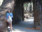 ca_trip2007205_small.jpg