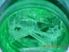 ca_trip2007266_small.jpg