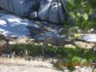 ca_trip2007269_small.jpg
