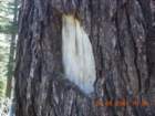 ca_trip2007282_small.jpg