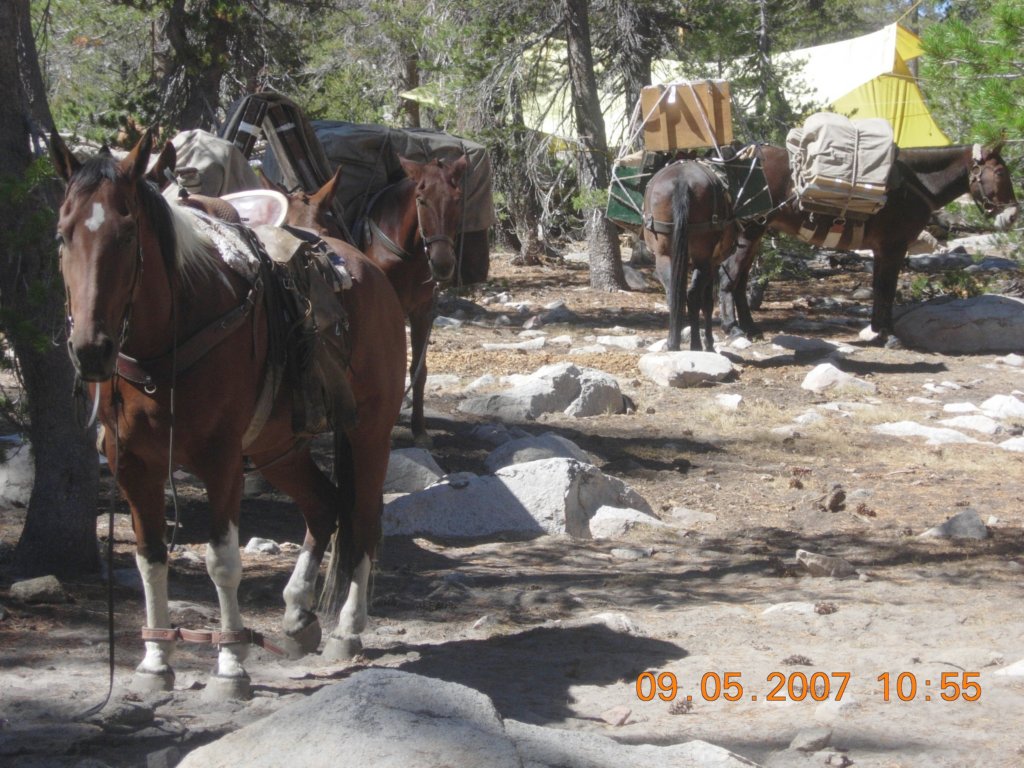 ca_trip2007284.jpg