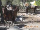 ca_trip2007284_small.jpg
