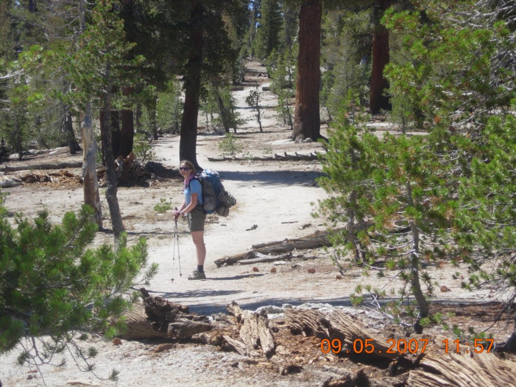 ca_trip2007286.jpg