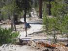 ca_trip2007286_small.jpg