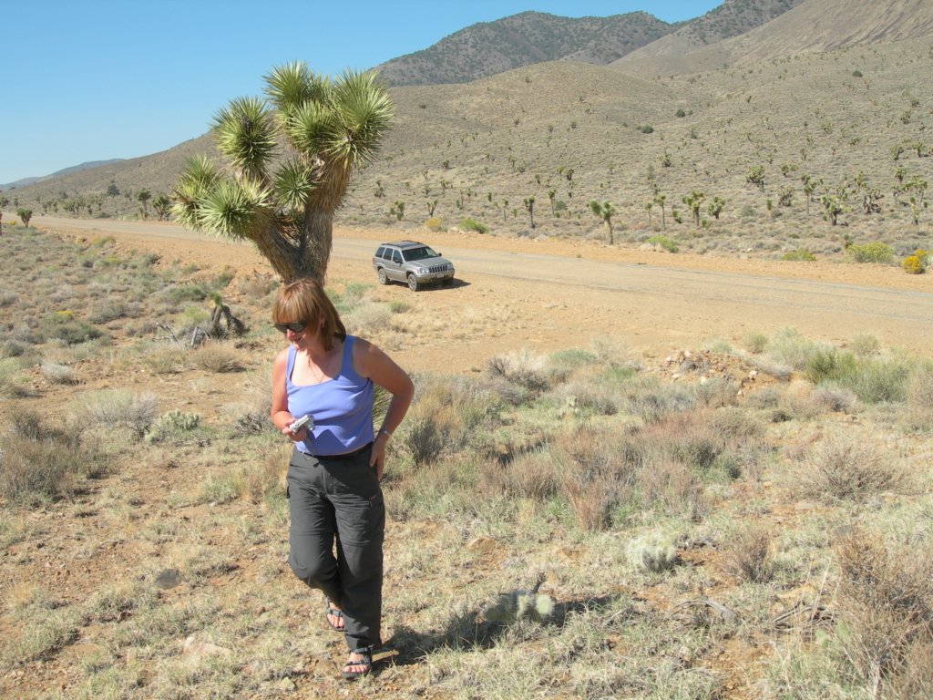 ca_trip07326.jpg