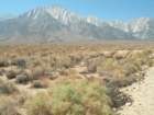ca_trip07332_small.jpg