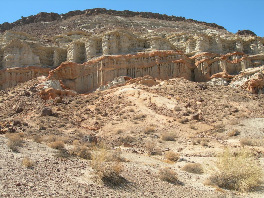 ca_trip07344.jpg