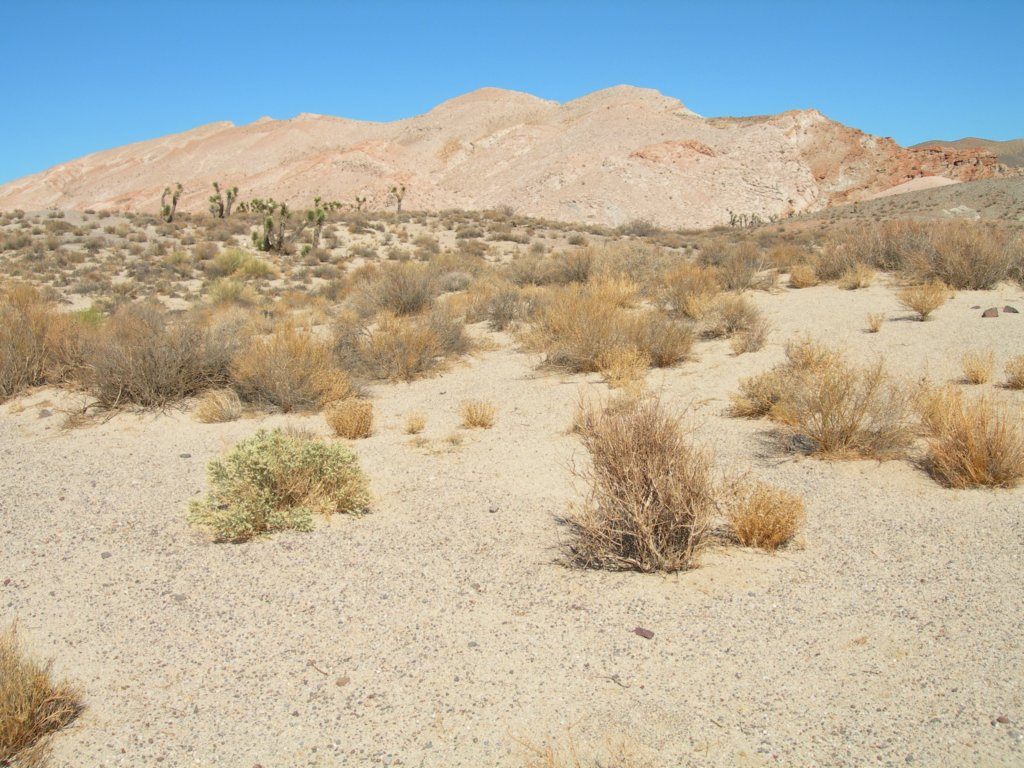 ca_trip07351.jpg
