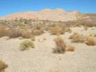 ca_trip07351_small.jpg