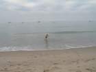 ca_trip07362_small.jpg