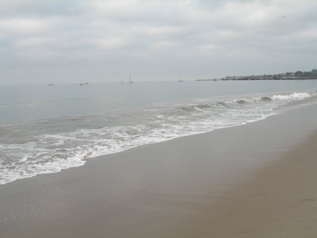 ca_trip07370.jpg