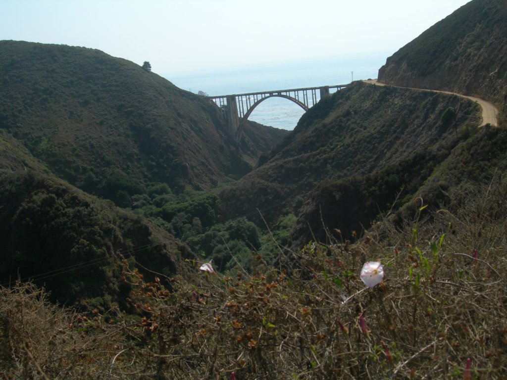 ca_trip07399.jpg