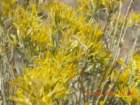 ca_trip2007373_small.jpg