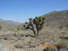 ca_trip2007375_small.jpg